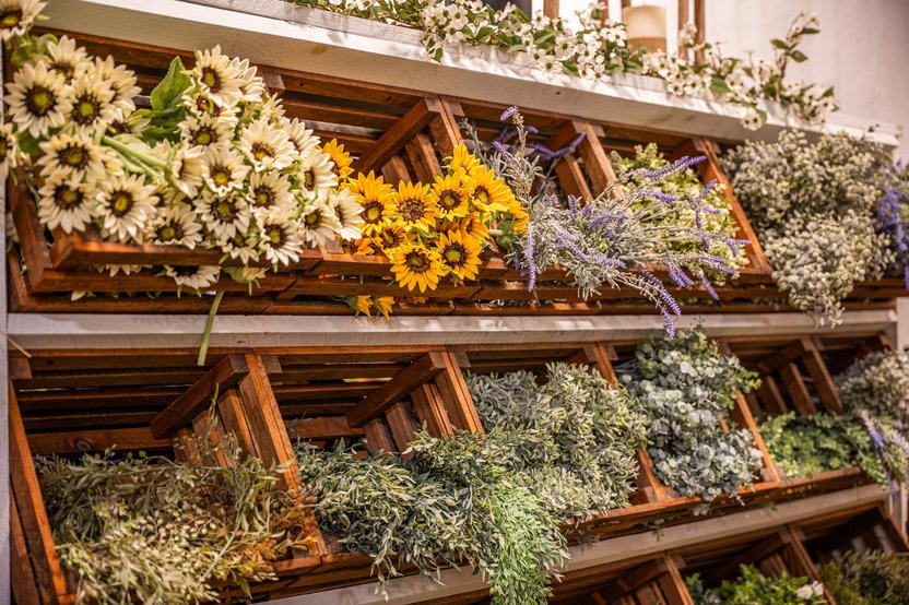 Flowers at Ohio's Market Berlin