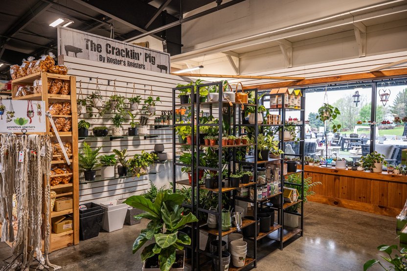 Indoor plants at Ohio's Market Berlin