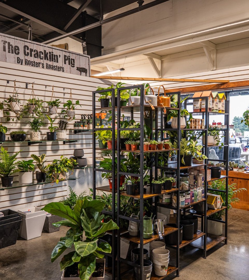 Indoor plant vendor display at Ohio's Market Berlin