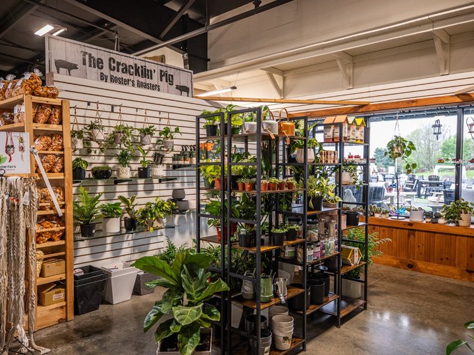 Tables of potted greenery for collectors and beginners at Ohio's Market Berlin in Holmes County